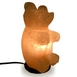 Himalayan Teddy Bear Shape Salt Lamp.