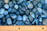 Tumbled Apatite From Madagascar- 0.75" to 1.25" Avg. - Premium Polished Rocks!