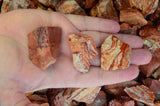 Spiritite Rough Stones from Mexico