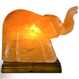 Natural Himalayan Elephant Shape Salt Lamp